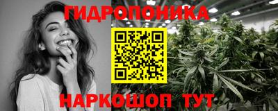 молекула духа Лесосибирск