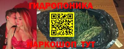 молекула духа Лесосибирск